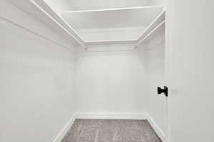Spacious closet with carpet