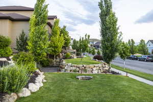 View of grassy yard