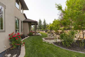 View of grassy yard