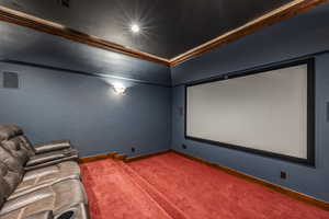 Cinema with carpet flooring and ornamental molding