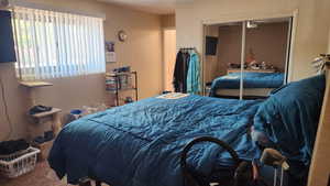 Bedroom with a closet and carpet floors