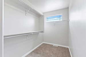 Walk in closet featuring visible vents and carpet floors