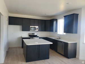 Kitchen with light countertops, a kitchen island, and stainless steel appliances.