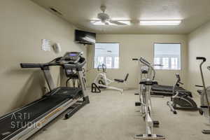Workout area with carpet floors and a ceiling fan
