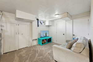 Basement bedroom, storage, utility closet