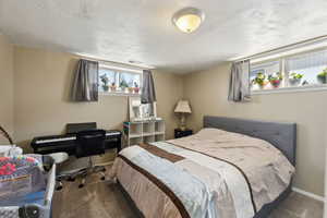 Basement bedroom