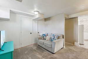 Basement bedroom, utility closet