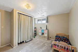 Basement bedroom