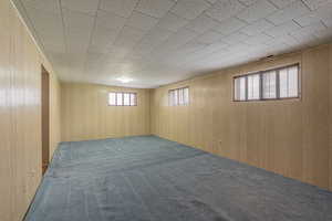 Below grade area with wood walls, visible vents, and carpet floors
