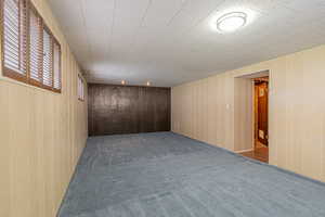 Carpeted empty room with wood walls