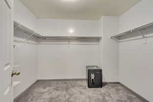 Spacious closet featuring carpet floors