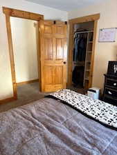 Bedroom with a closet and carpet floors