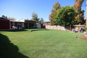 Grass in the summer and fall. Golf course type grass (not fake turf)