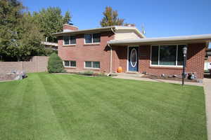 Grass in the summer and fall. Golf course type grass (not fake turf)