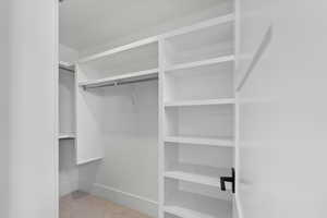 Spacious closet featuring carpet flooring