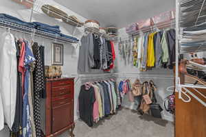 Walk in closet featuring carpet