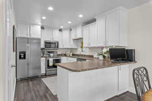 Kitchen with a sink, dark wood-style flooring, a peninsula, and stainless steel appliances