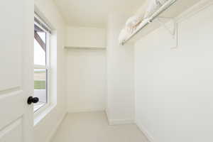 Spacious closet with carpet flooring