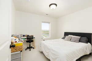 Carpeted bedroom with large walk in closet