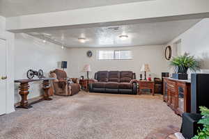 Carpeted living room featuring a textured ceiling, rail lighting, and visible vents