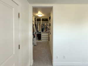 Walk in closet with carpet floors