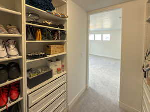 Spacious closet featuring carpet