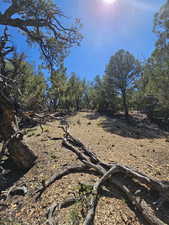 Beautiful secluded 10 acres with tons of trees and views!