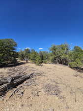 Beautiful secluded 10 acres with tons of trees and views!