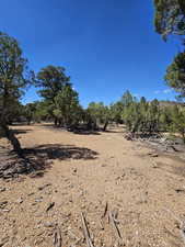 Flat Areas for camping