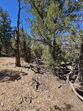 Beautiful secluded 10 acres with tons of trees and views!