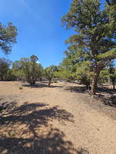 Flat Areas for camping