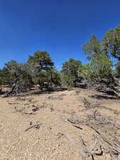 Beautiful secluded 10 acres with tons of trees and views!