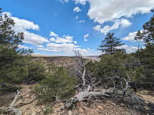 Views are amazing from up top!!