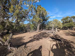 Beautiful secluded 10 acres with tons of trees and views!