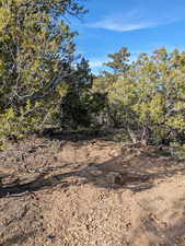 Beautiful secluded 10 acres with tons of trees and views!