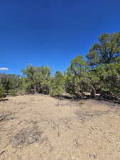 Beautiful secluded 10 acres with tons of trees and views!