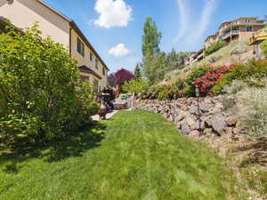 View of grassy yard