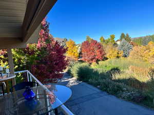 View of patio