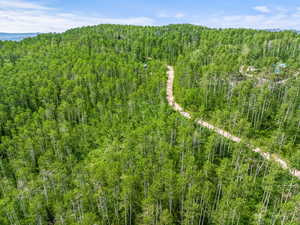 Aerial view featuring a forest view