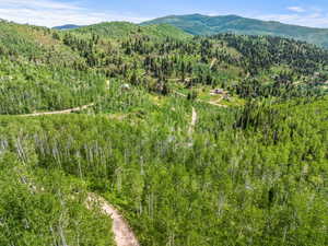 Drone / aerial view featuring a forest view and a mountain view