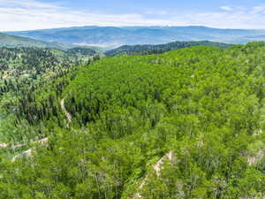 Drone / aerial view with a forest view and a mountain view