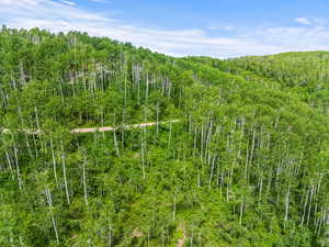 View of nature featuring a view of trees
