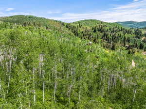 Mountain view featuring a wooded view