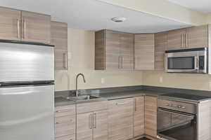 Kitchen with dark countertops, a sink, modern cabinets, and stainless steel appliances