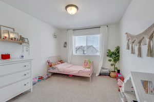 Bedroom with baseboards and carpet