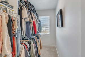 Spacious closet featuring carpet flooring