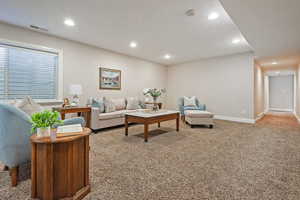 Basement Family Room