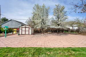 View of yard featuring a storage shed, a patio area, and an outbuilding