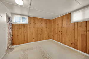 Interior space with wooden walls, carpet floors, and baseboards
