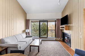 Tiled living room with a glass covered fireplace, wooden walls, vaulted ceiling, and rail lighting